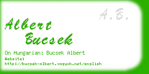 albert bucsek business card